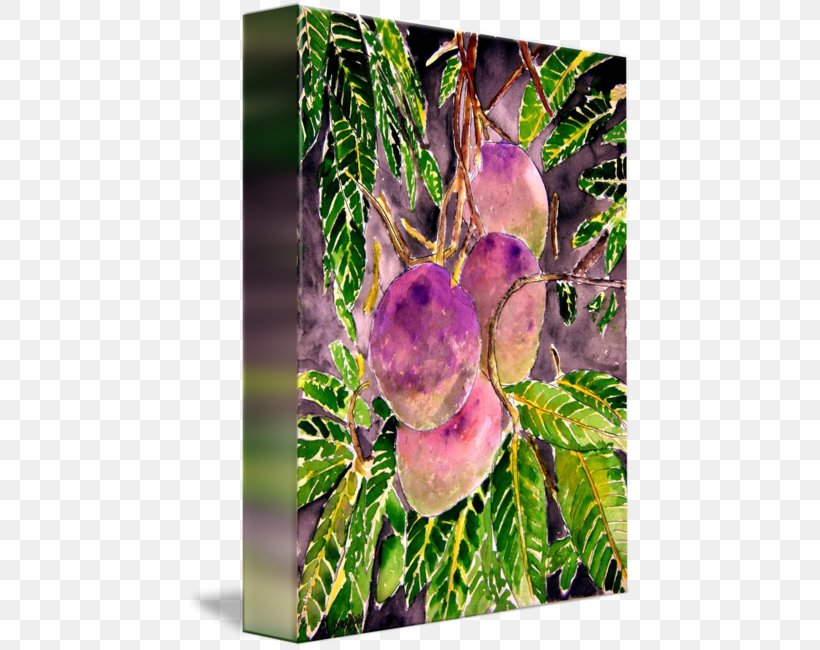 Branch Watercolor Painting Mango Mangifera Indica, PNG, 446x650px, Branch, Art, Fruit, Fruit Tree, Leaf Download Free