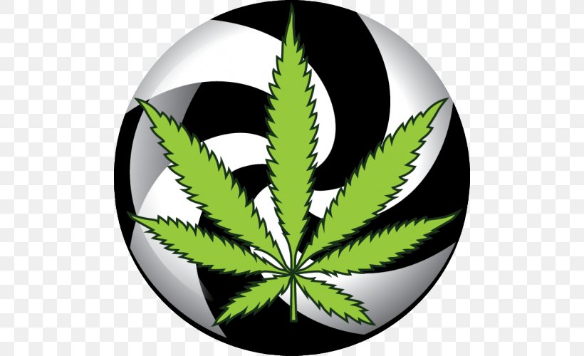 Cannabis Sativa Medical Cannabis Cannabis Shop Kush, PNG, 500x500px, 420 Day, Cannabis, Cannabidiol, Cannabis Sativa, Cannabis Shop Download Free