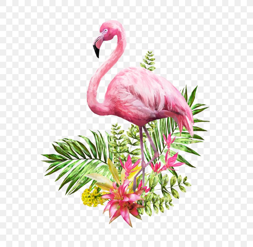 Flamingo Watercolor Painting Poster, PNG, 625x800px, Flamingo, Art, Beak, Bird, Drawing Download Free
