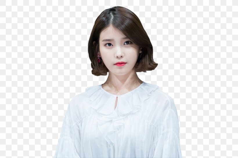 IU Dream High Korean Drama Musician Artist, PNG, 900x600px, Watercolor, Cartoon, Flower, Frame, Heart Download Free