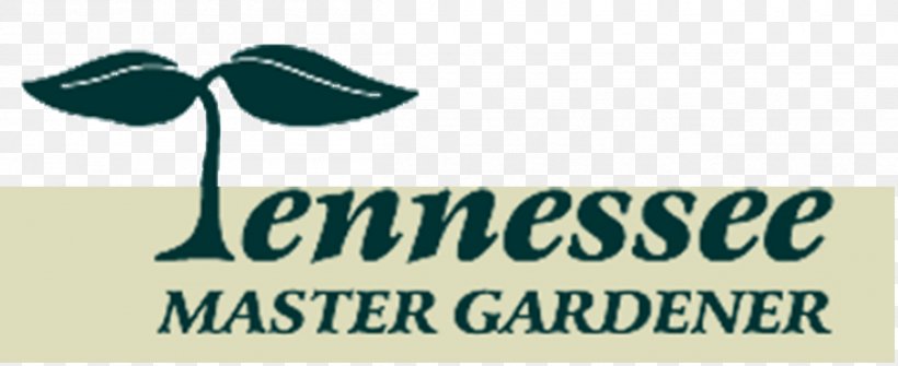 Master Gardener Program Gardening Volunteering Sevier County, Tennessee, PNG, 2409x987px, Master Gardener Program, Brand, Coffee County Tennessee, Community, Education Download Free
