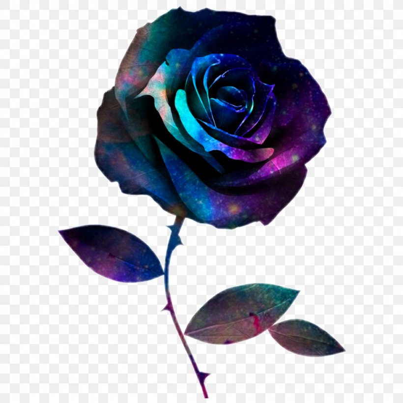 Black And White Flower, PNG, 1024x1024px, Rose, Black, Black Rose, Blue, Blue Rose Download Free