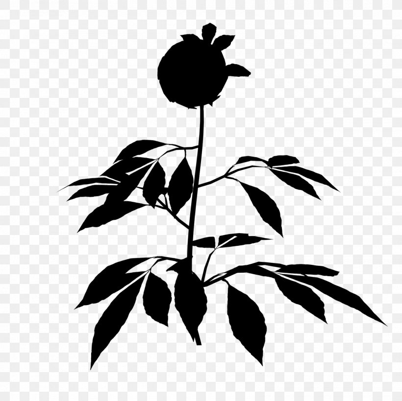 Flower Plant Stem Leaf Clip Art Silhouette, PNG, 1600x1600px, Flower, Blackandwhite, Botany, Branch, Branching Download Free