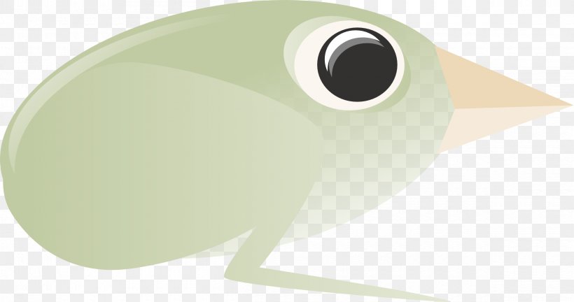 Frog Beak Green, PNG, 2400x1266px, Frog, Amphibian, Beak, Bird, Green Download Free