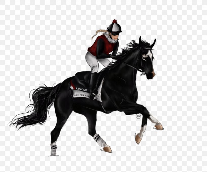 Stallion English Riding Rein Mustang Equestrian, PNG, 979x816px, 2019 Ford Mustang, Stallion, Animal Sports, Bridle, English Riding Download Free