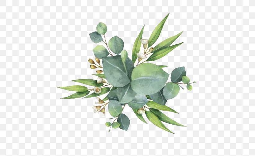 Gum Trees Euclidean Vector Leaf Flower, PNG, 532x502px, Gum Trees, Branch, Flower, Flowerpot, Green Download Free