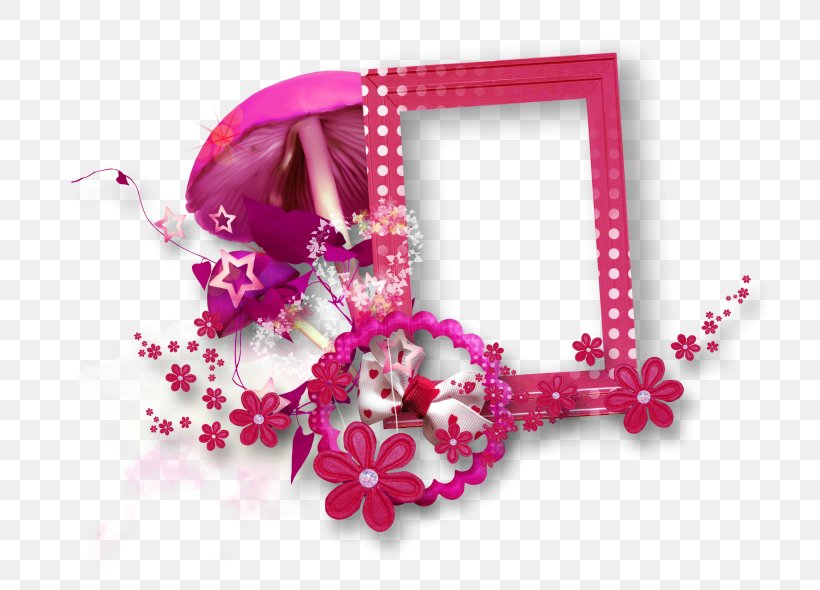 PhotoScape Picture Frame, PNG, 800x590px, Photoscape, Flower, Gimp, Html, Magenta Download Free