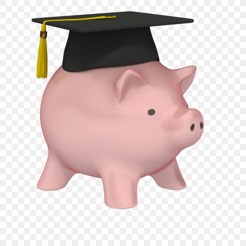Piggy Bank Graduation Ceremony Money Saving, PNG, 1000x1000px, Piggy Bank, Access To Finance, Bank, College, Education Download Free