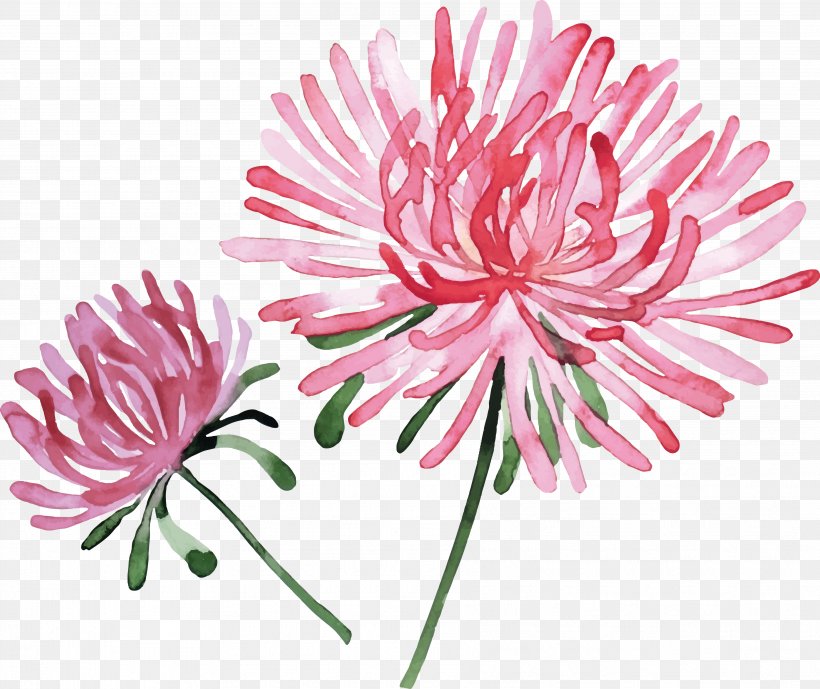 Watercolor Painting Flower Stock Photography, PNG, 3607x3033px, Watercolor Painting, Aster, Chrysanths, Common Daisy, Cut Flowers Download Free
