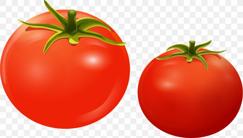 Cherry Tomato Sticker Color, PNG, 1134x646px, Cherry Tomato, Apple, Bush Tomato, Cartoon, Color Download Free