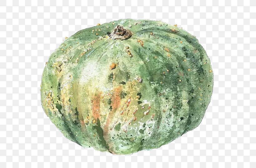 Gourd Cucurbita Maxima Calabaza Pumpkin Winter Squash, PNG, 758x539px, Gourd, Calabaza, Cucumber Gourd And Melon Family, Cucurbita, Cucurbita Maxima Download Free