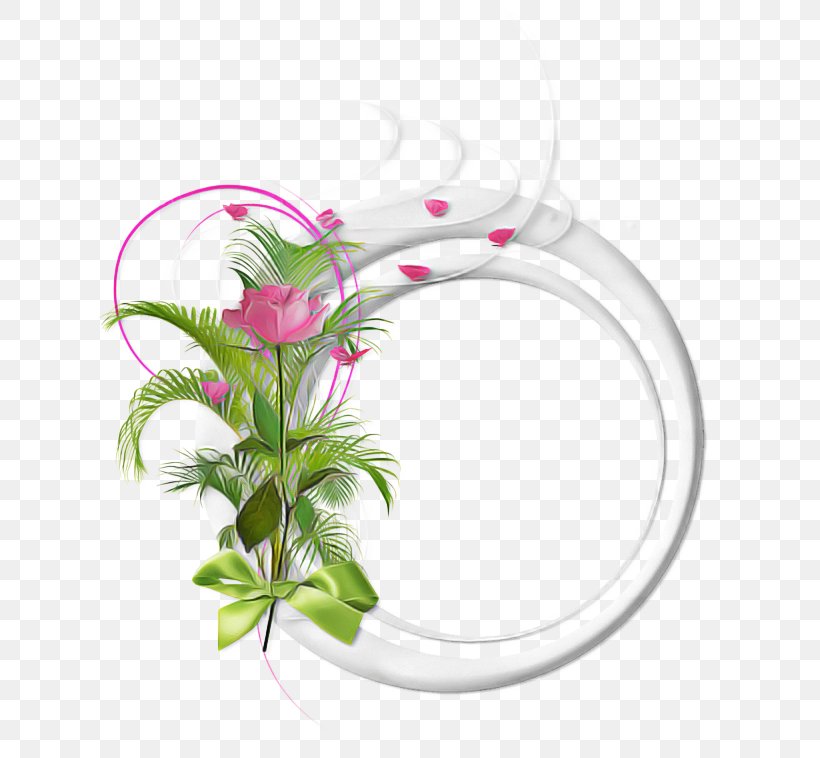 Plant Flower, PNG, 650x758px, Plant, Flower Download Free