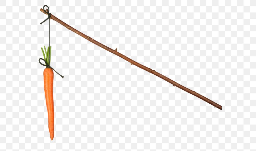 Carrot And Stick Stock Photography Royalty-free Shutterstock, PNG, 600x485px, Carrot And Stick, Baby Carrot, Branch, Carrot, Carrot Juice Download Free
