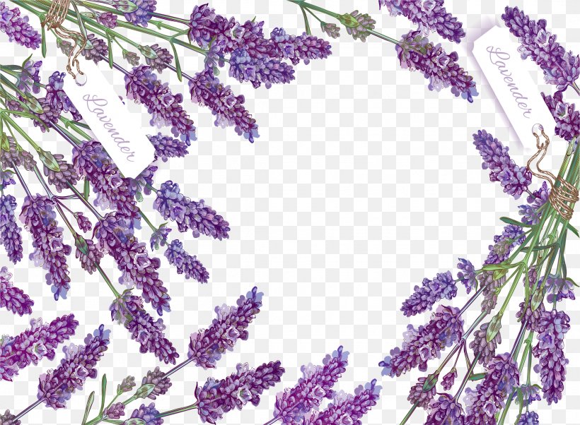 Romantic Lavender Decorative Box, PNG, 2187x1607px, Lavender, Flower, Lilac, Pattern, Petal Download Free