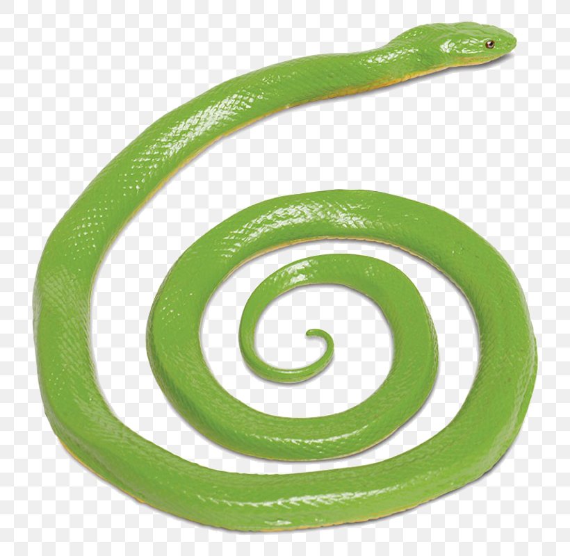 Rough Green Snake Reptile Safari Ltd Coral Snake, PNG, 800x800px, Snake, Alligators, Animal Figurine, Body Jewelry, Brown Tree Snake Download Free