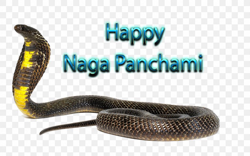 Serpent Naga Panchami Rattlesnake Kingsnakes Product, PNG, 1920x1200px, Serpent, Cobra, Elapidae, Kingsnake, Kingsnakes Download Free