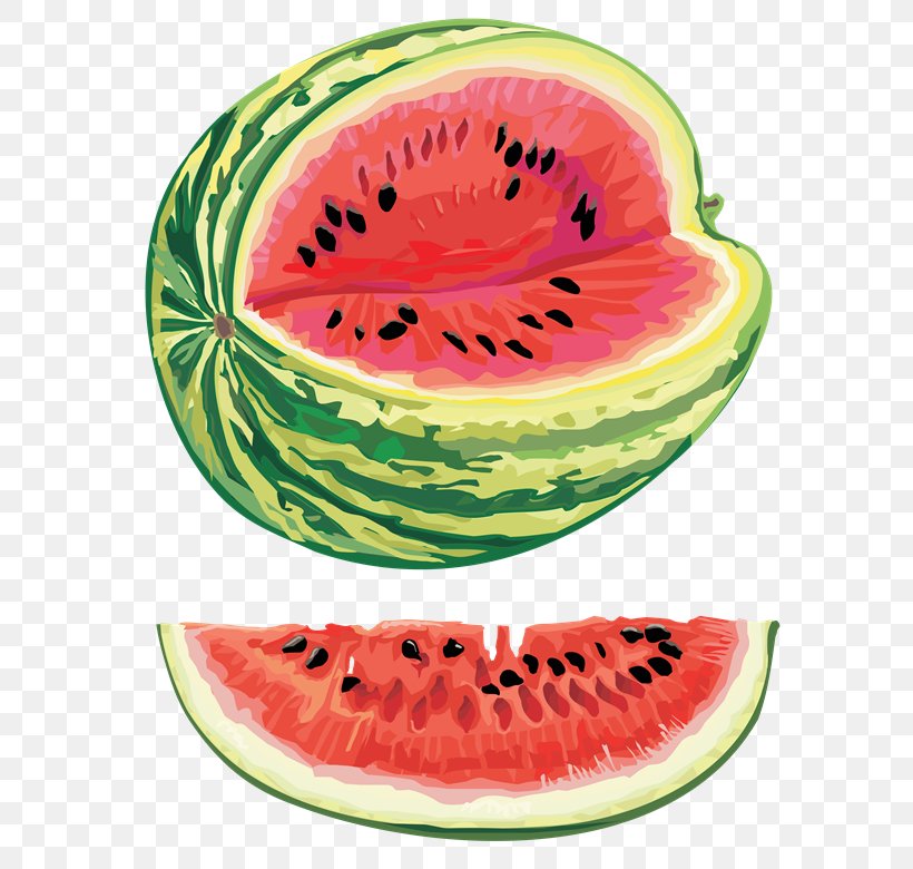Watermelon Seed Oil Citrullus Lanatus Var. Lanatus Clip Art, PNG, 613x780px, Watermelon Seed Oil, Bubble Gum, Citrullus, Citrullus Lanatus Var Lanatus, Cucumber Gourd And Melon Family Download Free