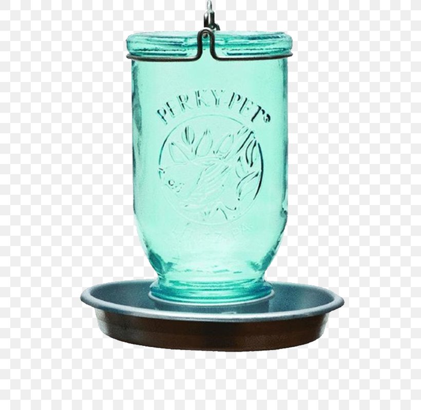 Bird Feeders Mason Jar Pet Bird Food, PNG, 800x800px, Bird, Backyard, Bird Feeders, Bird Food, Blue Download Free