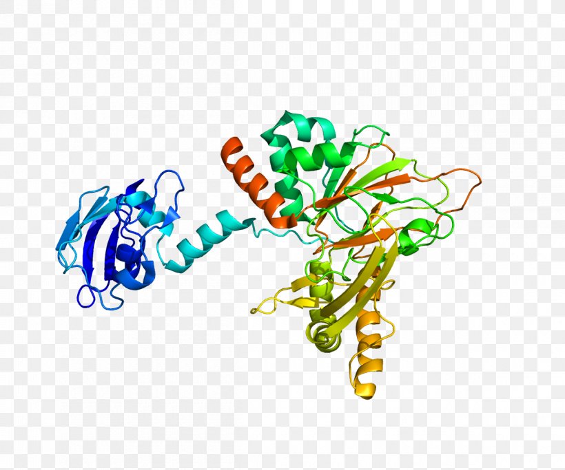Gamma-butyrobetaine Dioxygenase Enzyme Hydroxylation Procollagen-proline Dioxygenase Trimethyllysine Dioxygenase, PNG, 1200x1000px, Enzyme, Area, Art, Body Jewelry, Catalysis Download Free
