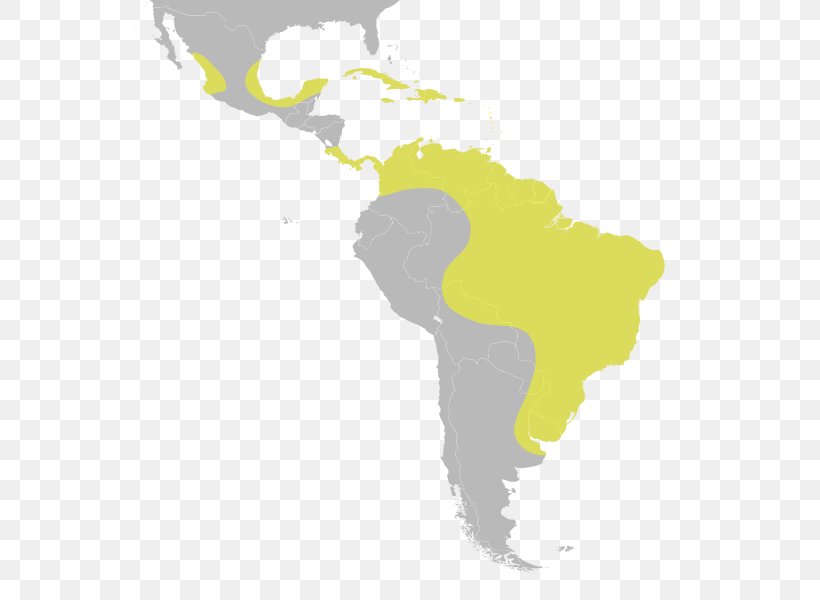 Latin America South America Central America United States Subregion, PNG, 555x600px, Latin America, Americas, Central America, Geography, History Download Free