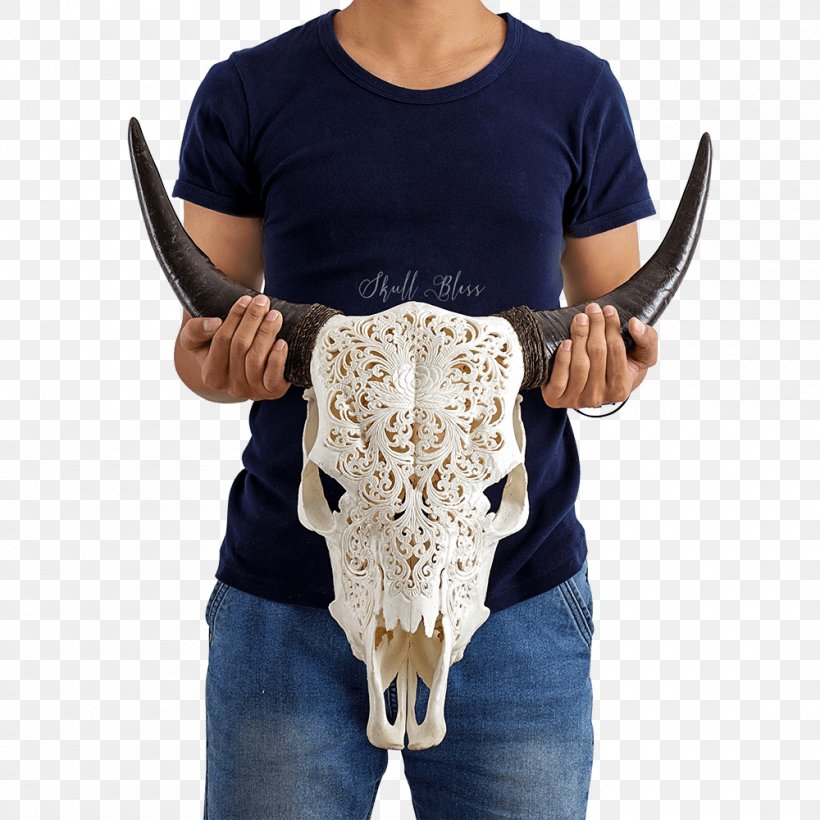 Cattle Horn Skull Bull Goat, PNG, 1000x1000px, Cattle, Bull, Cart, Goat, Horn Download Free