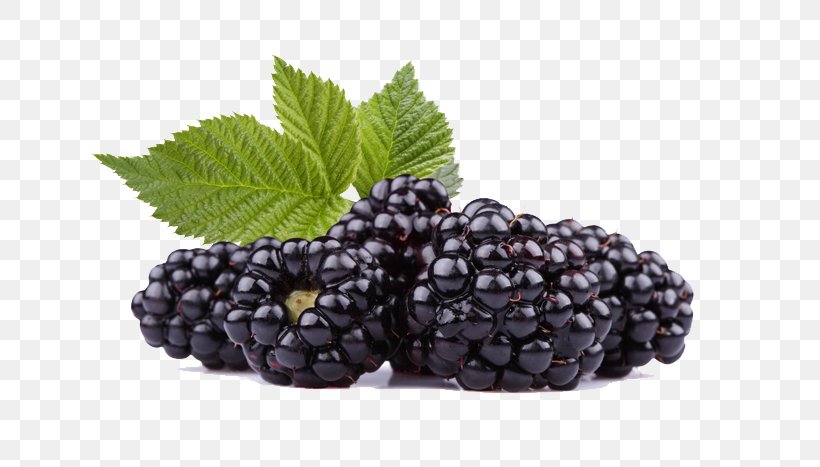 Frutti Di Bosco Black Raspberry Blackberry Fruit, PNG, 700x467px, Frutti Di Bosco, Berry, Bilberry, Black Raspberry, Blackberry Download Free