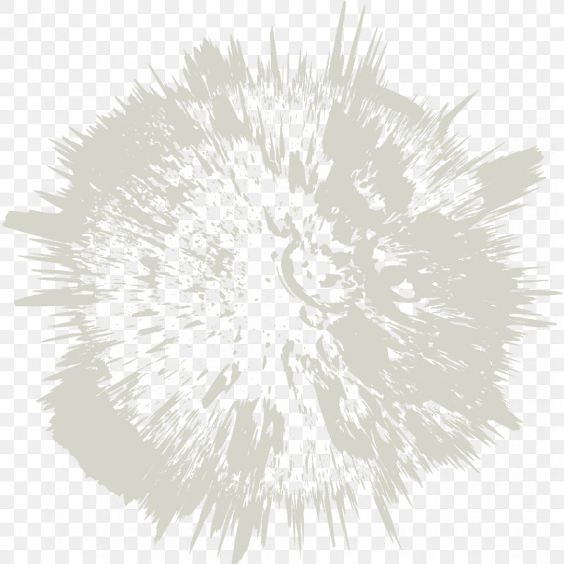 White Fur Line, PNG, 868x868px, White, Black And White, Flower, Fur, Tree Download Free
