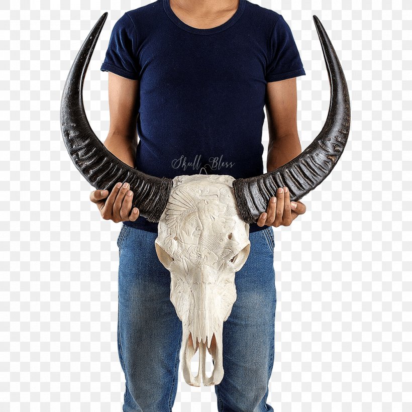 Cattle Horn Animal Skull Mixture, PNG, 1000x1000px, Cattle, Animal, Cattle Like Mammal, Cow Goat Family, Horn Download Free