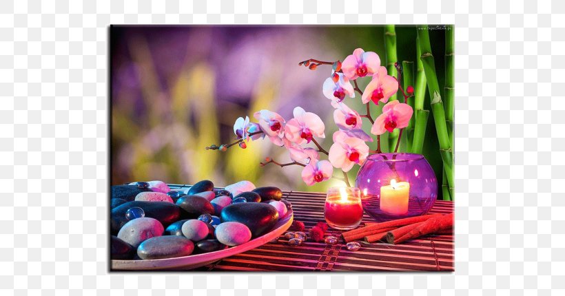 Feng Shui RichFeel Trichology Center Vastu Shastra Bagua Superstition, PNG, 600x430px, Feng Shui, Bagua, Beauty Parlour, Candle, Floral Design Download Free