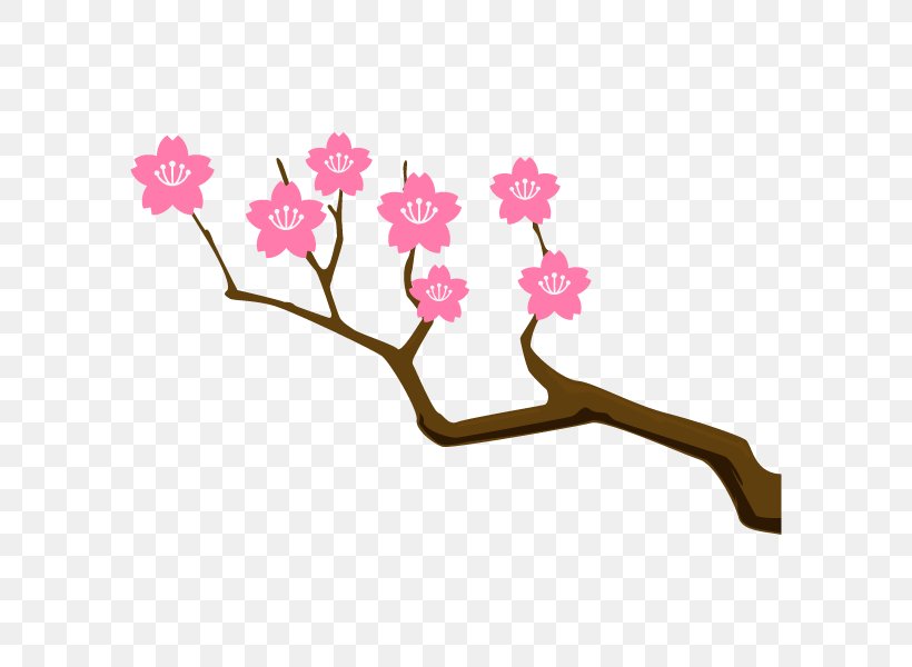 Meaning Idiom Synonym Etymology Cherry Blossom, PNG, 600x600px, Meaning, Blossom, Branch, Cherry Blossom, Diaporama Download Free