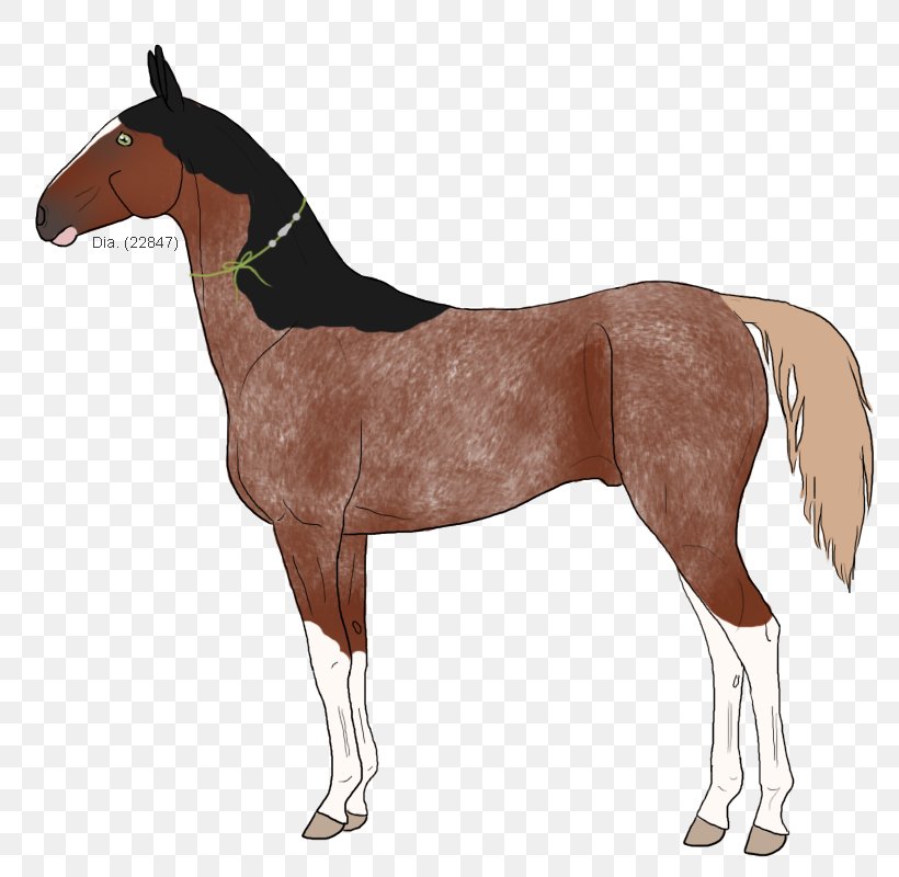 Mustang Equestrian Sport Horse Blanket Horze, PNG, 800x800px, Mustang, Brand, Bridle, Colt, Crystal Download Free