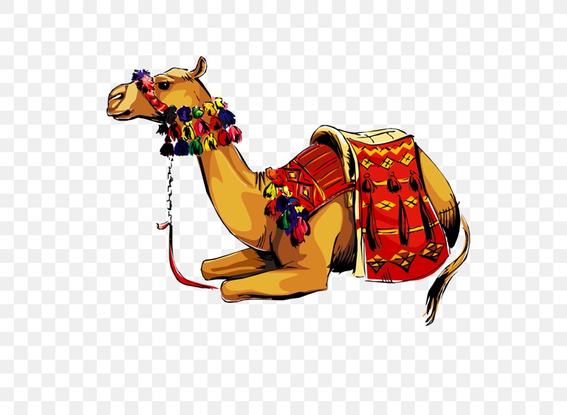 Dromedary Llama کوهان Domestic Animal, PNG, 800x600px, Dromedary, Animal, Arabian Camel, Camel, Camel Like Mammal Download Free