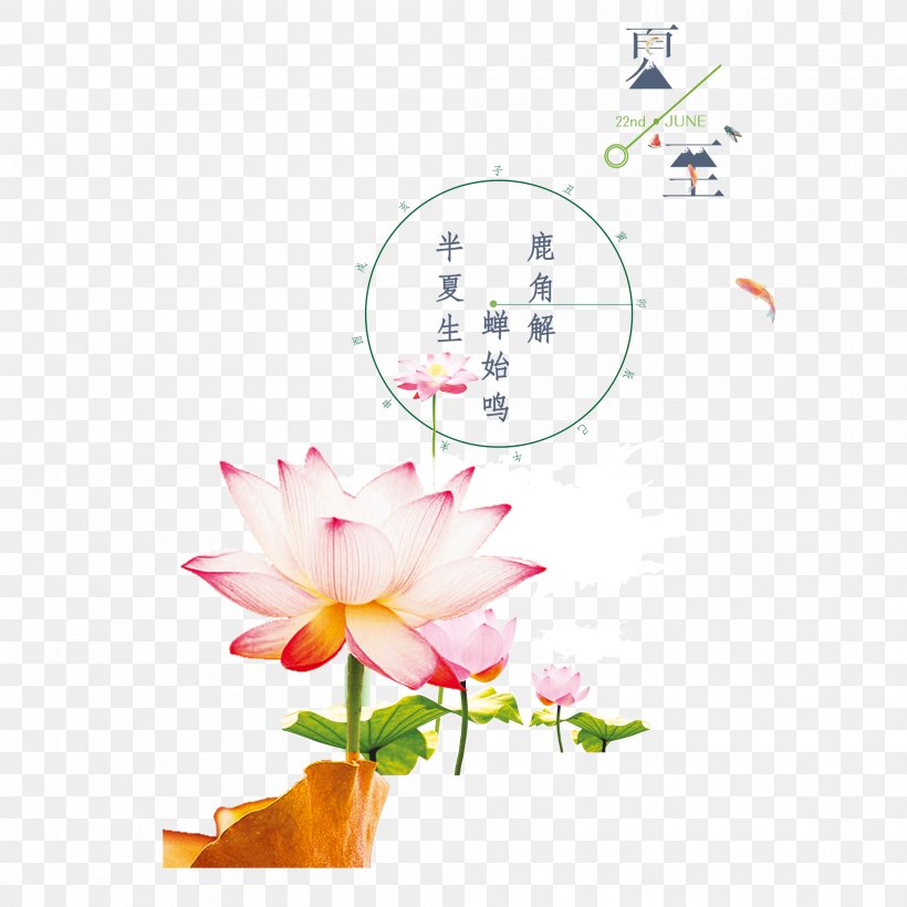 Sacred Lotus Image Download, PNG, 2000x2000px, Sacred Lotus, Cut Flowers, Festival, Flora, Floral Design Download Free