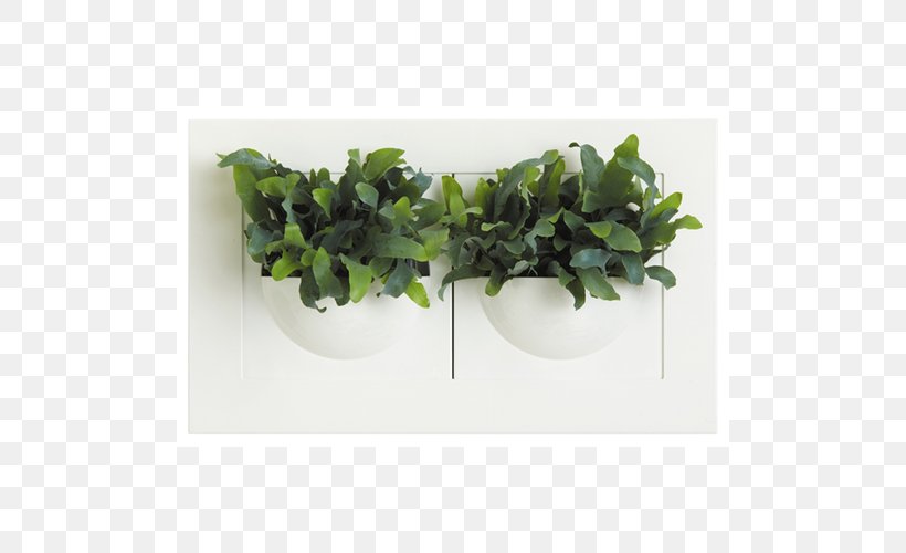 Succulent Plant Leaf Flowerpot Vase, PNG, 500x500px, Succulent Plant, Ceramic, Corbel, Courtyard, Decoratie Download Free