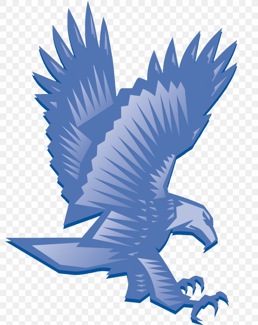 Bald Eagle Beak Clip Art, PNG, 1404x1768px, Bald Eagle, Beak, Bird, Bird Of Prey, Eagle Download Free