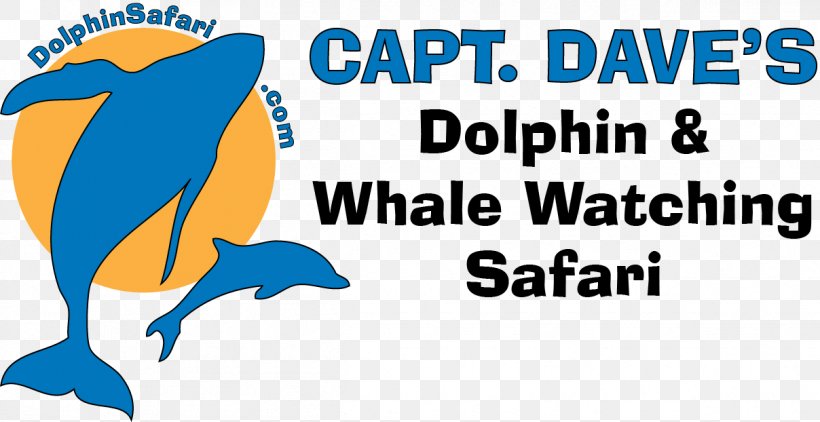 Capt Dave's Dana Point Whale Watching Cetacea Marine Mammal Dolphin, PNG, 1208x622px, Cetacea, Area, Artwork, Beak, Blue Download Free