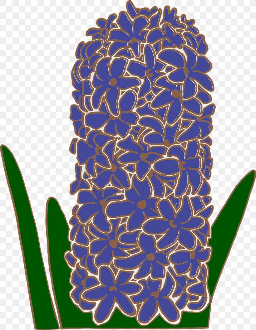 Hyacinth bulb flowering | Mostly drawing