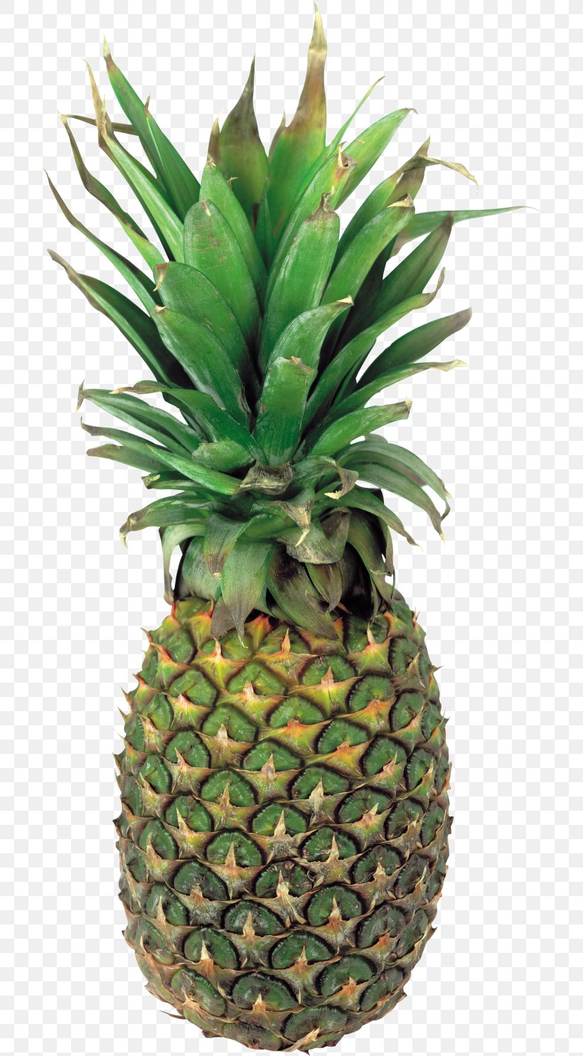 Pineapple Clip Art Juice Fruit, PNG, 700x1485px, Pineapple, Ananas, Berries, Bromeliaceae, Flowerpot Download Free