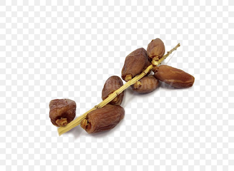 Tree Nut Allergy Jewellery VY2, PNG, 600x600px, Nut, Ingredient, Jewellery, Nuts Seeds, Tree Download Free