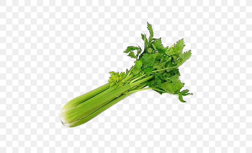 Wild Celery Organic Food Vegetable Salad, PNG, 500x500px, Celery, Asparagus, Beetroot, Cauliflower, Chard Download Free