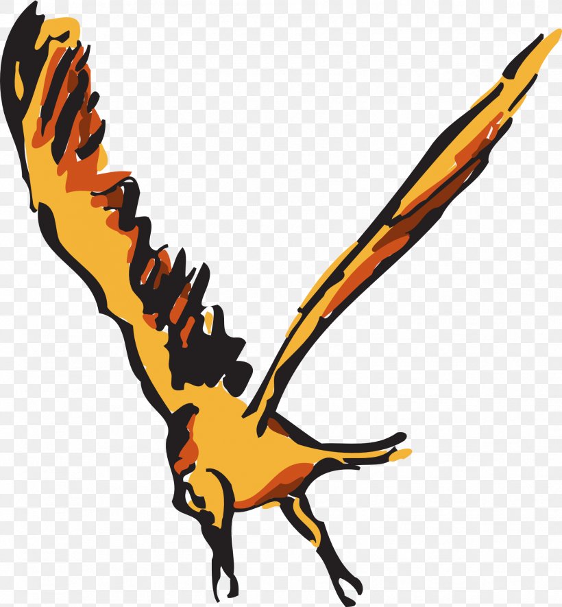 Bird Wing Orange Clip Art, PNG, 1778x1920px, Bird, Artwork, Beak, Claw, Drawing Download Free
