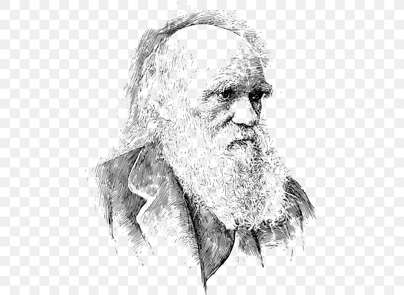 On The Origin Of Species The Voyage Of The Beagle Evolution Darwin Day Scientist, PNG, 474x599px, On The Origin Of Species, Art, Artwork, Beard, Biologist Download Free