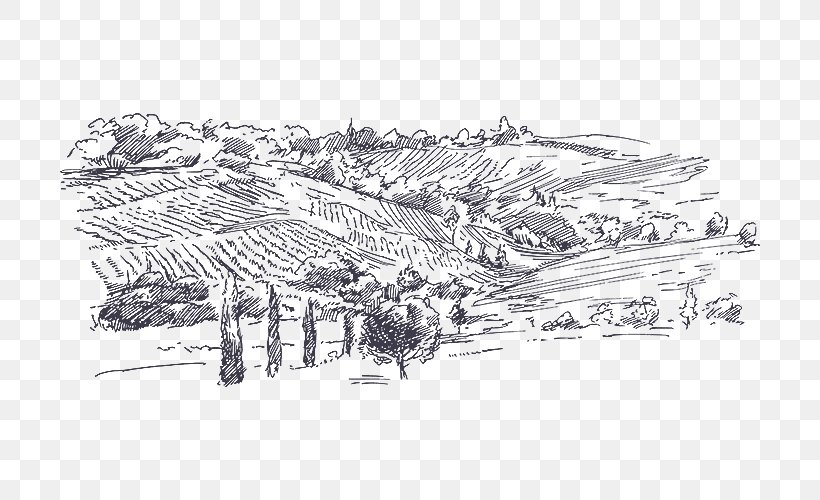 Wine Sketch Drawing Vector Graphics Judaean Mountains, PNG, 700x500px, Wine, Architecture, Artwork, Auto Part, Doodle Download Free