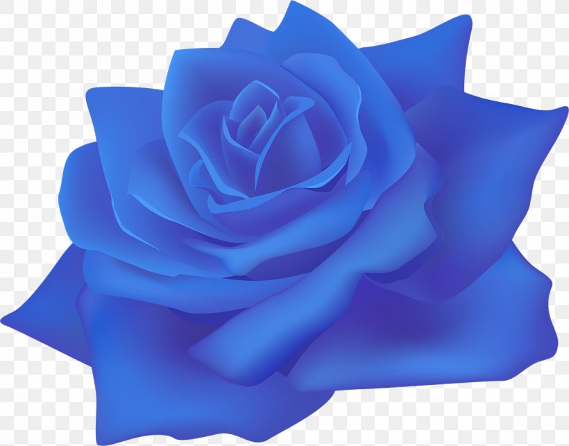 Beach Rose Centifolia Roses Paper Flower Blue Rose, PNG, 1200x942px, Beach Rose, Azure, Blue, Blue Rose, Centifolia Roses Download Free