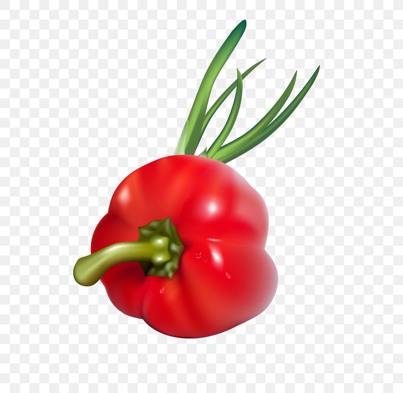 Bell Pepper Habanero Birds Eye Chili Tomato Cayenne Pepper, PNG, 800x800px, Bell Pepper, Animation, Bell Peppers And Chili Peppers, Birds Eye Chili, Bush Tomato Download Free