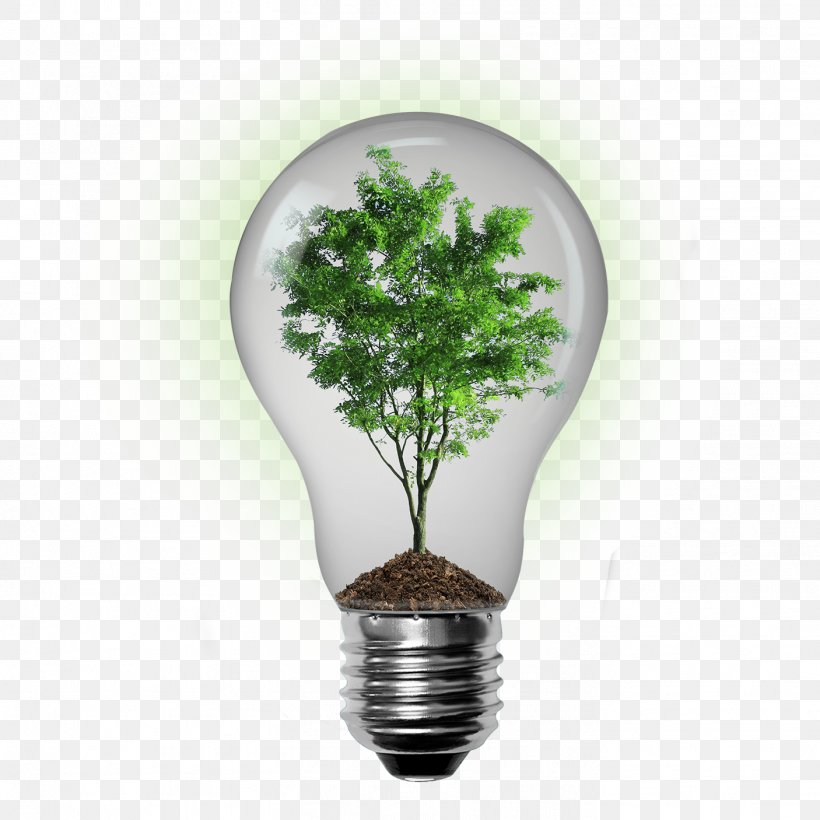 Environmentally Friendly Sustainable Living Sustainability Natural Environment, PNG, 1406x1406px, Environmentally Friendly, Efficient Energy Use, Energy, Energy Conservation, Environment Download Free