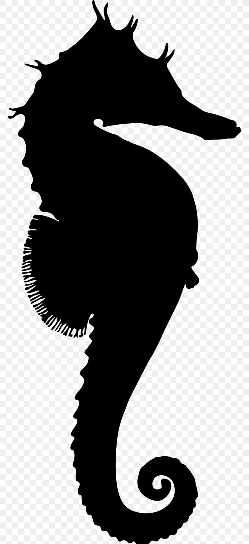 Horse Silhouette Drawing, PNG, 768x1791px, Horse, Art, Bigbelly Seahorse, Black And White, Drawing Download Free