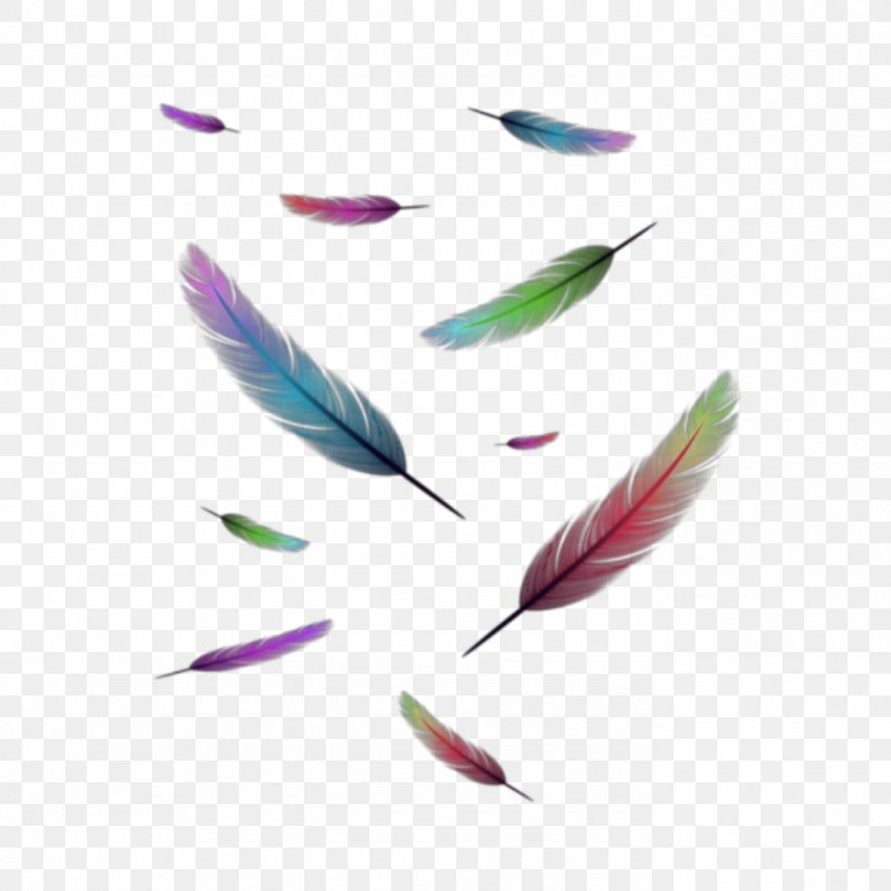 Feather Logo, PNG, 1386x1386px, Feather, Cartoon, Logo, Petal, Quill Download Free