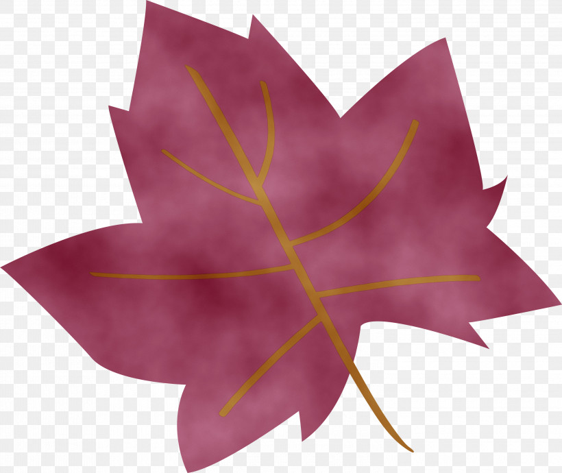 Maple Leaf, PNG, 3000x2526px, Cartoon Leaf, Abstract Leaf, Biology, Cute Leaf, Leaf Download Free