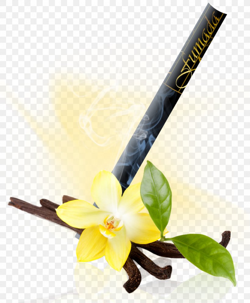 Vanilla Orchids Food Stock Photography, PNG, 904x1094px, Vanilla, Chocolate, Extract, Flavor, Flower Download Free